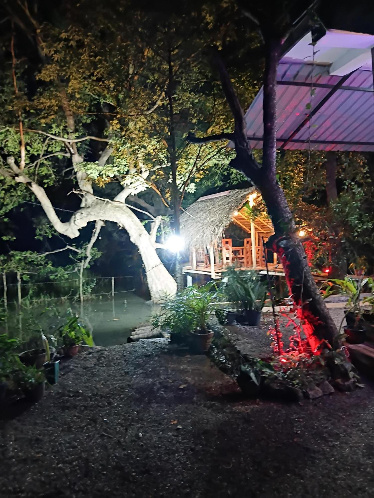 Nature Lotus Villa Dambulla Exterior foto